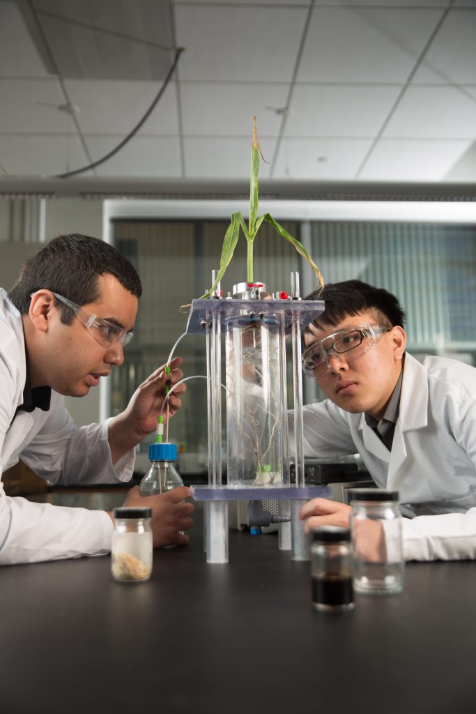 Mechanical engineering researchers studying crops