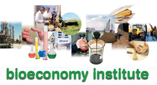 This image has an empty alt attribute; its file name is bioeconomyinstitute.jpg