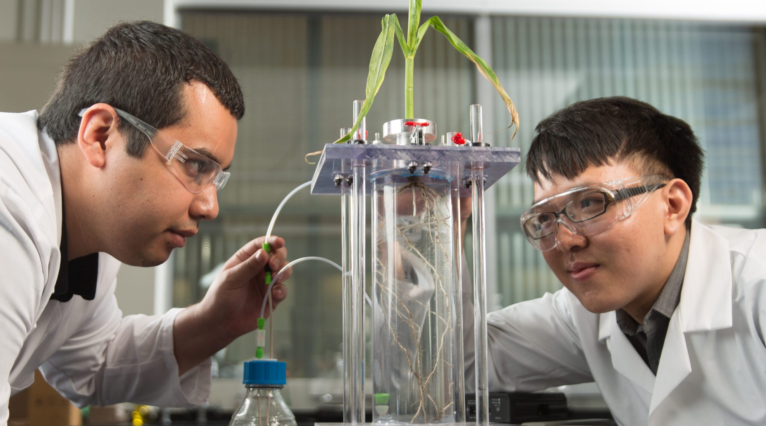 Two students work on research up close with an experiment in a glass tube.
